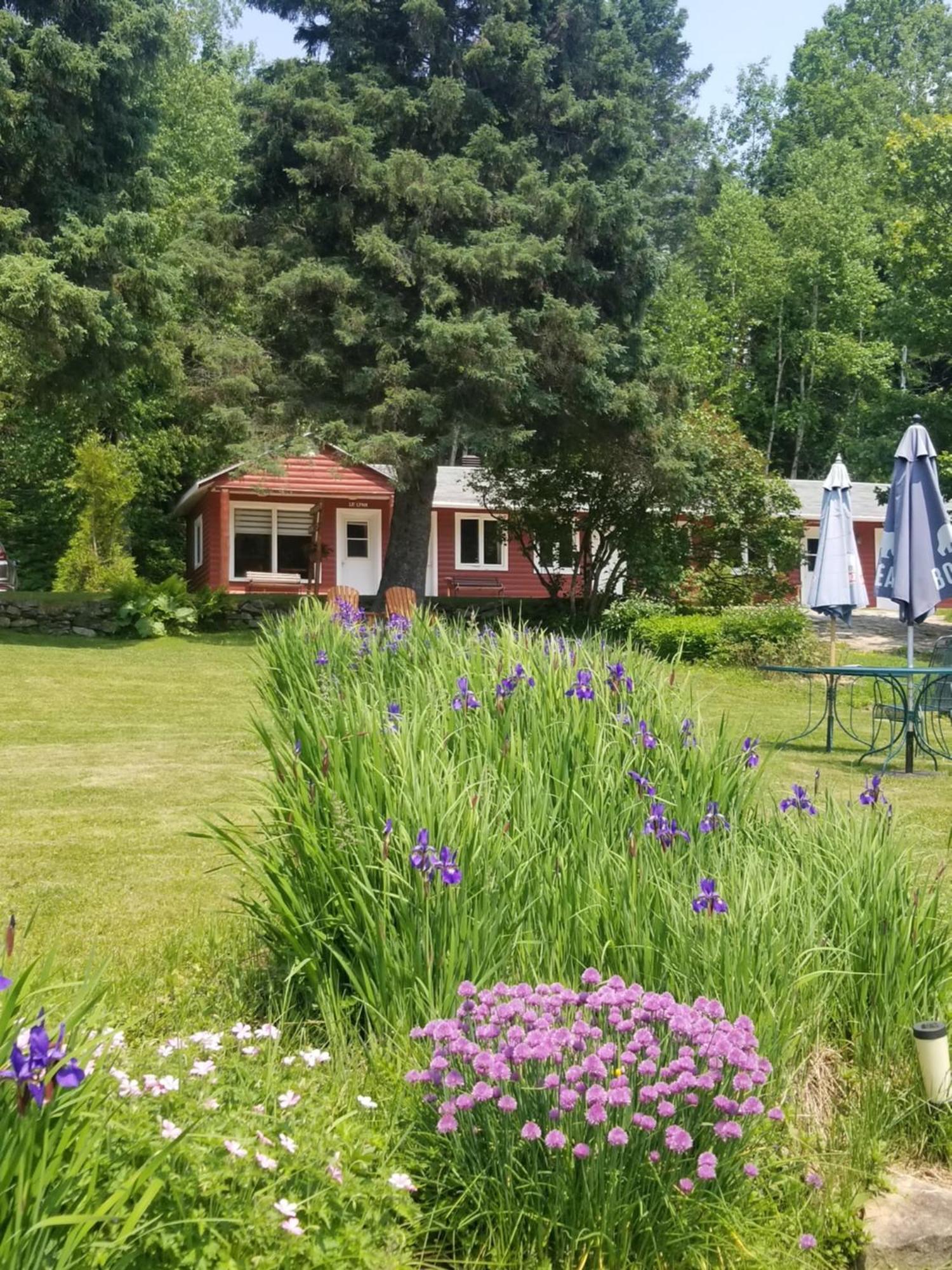Kan-A-Mouche Pourvoirie Auberge Et Chalets Saint-Michel 객실 사진